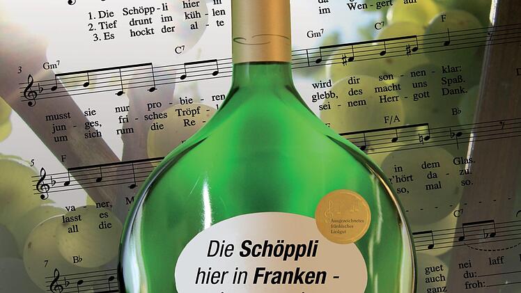 Launig-fränkischer Text, kombiniert mit eingängiger Melodie: Kilian Moritz' neues Frankenlied.