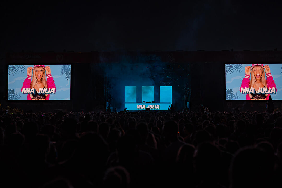 Mit Mickie Krause, Mia Julia, Lorenz Büffel, Ikke Hüftgold u.v.m.