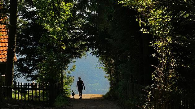 Hundewandern