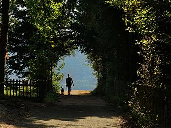 Hundewandern
