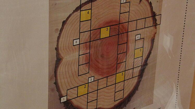 Zypresse als Kreuzworträtsel Foto: Josef Hofbauer