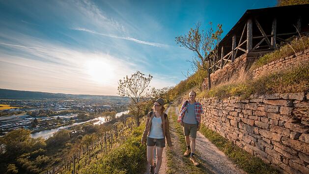 Fränkischer Rotwein Wanderweg
