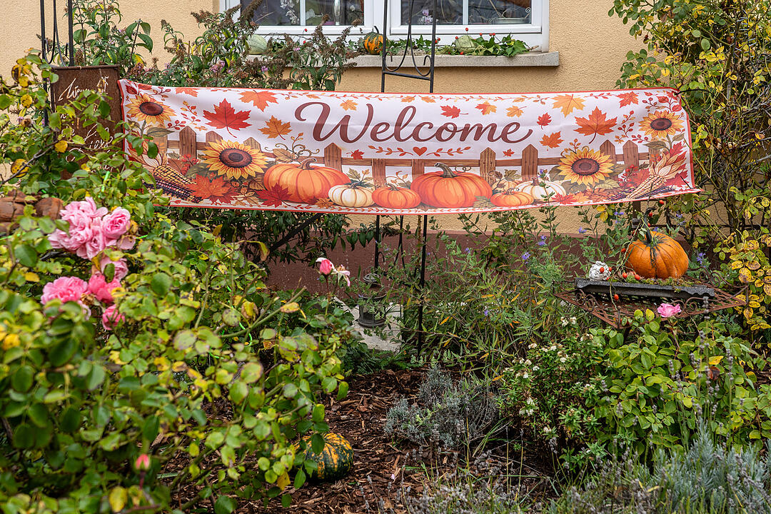Die K&uuml;rbissaison hat ihren H&ouml;hepunkt mit dem K&uuml;rbismarkt in Altendorf.