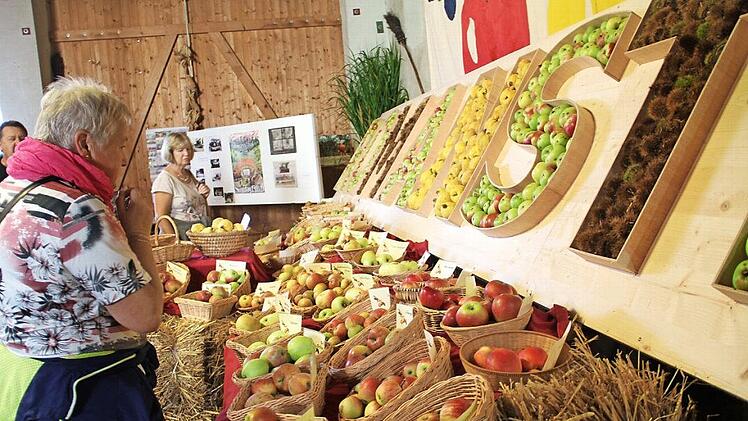 Auch heuer gab es wieder eine Obstausstellung, deren Besonderheit ein mit Obst gefüllter Schriftzug war. Fotos: Gerda Völk