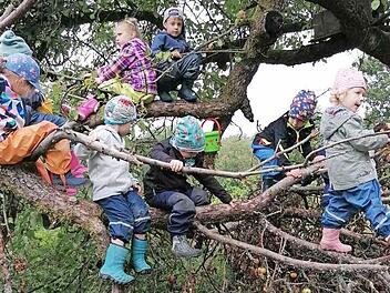 Fleißig pflückten die Kirchaicher Kindergartenkinder Früchte. Foto: privat