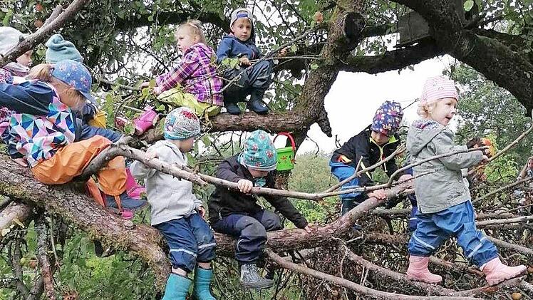 Fleißig pflückten die Kirchaicher Kindergartenkinder Früchte. Foto: privat