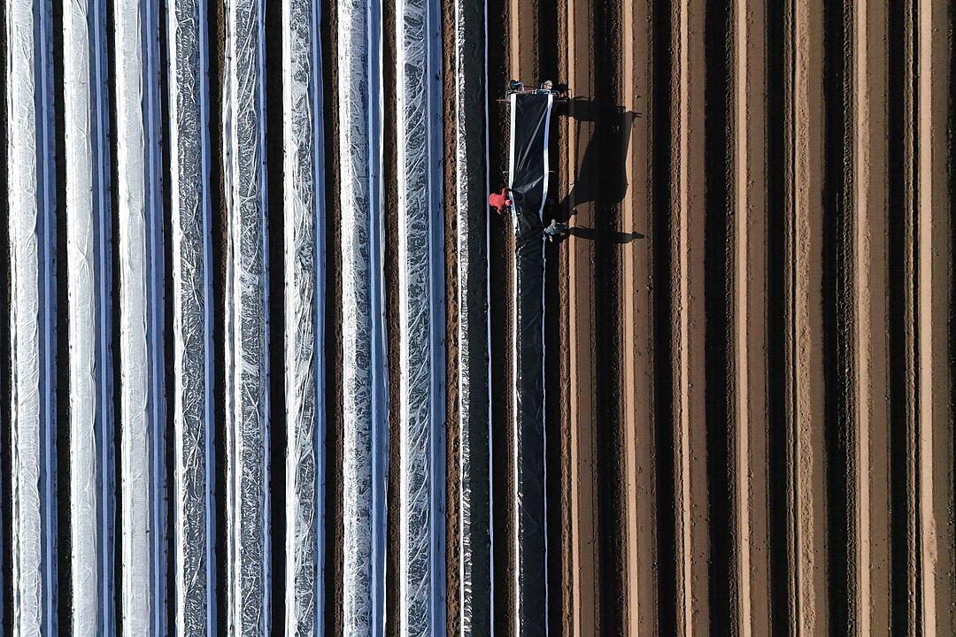 Vorbereitungen auf die Spargelsaison