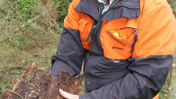 "In diesem Stückchen Rinde sind mehr als 600 Käfer", hat Förster Frank Hömberg hochgerechnet.