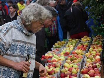 Besucher schauen sich die Äpfel an. Fotos: Franz Galster