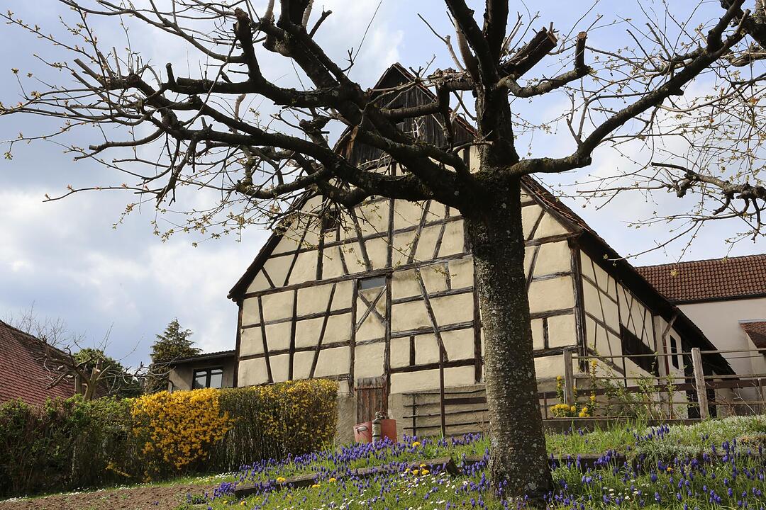 SoS Reuth im Landkreis Forchheim