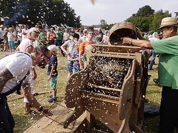 Wenn die Worfelmaschine heftig rotiert, dann trennt sich die Spreu vom Weizen.  Foto: Uwe Eichler