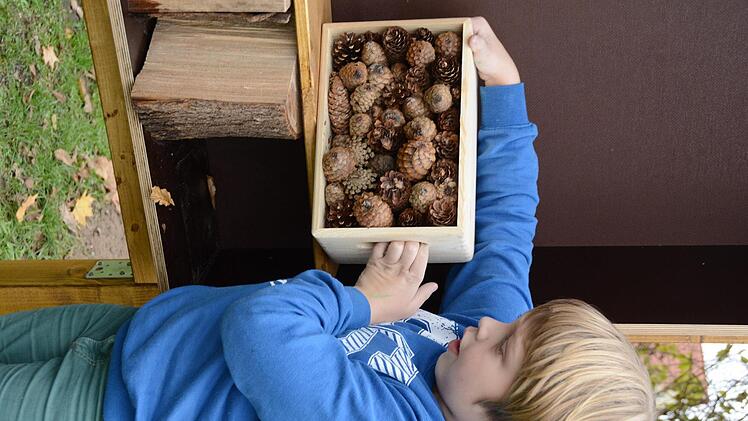 Impressionen vom Nisthilfenbau in der Melkendorfer Grundschule Dagmar Besand