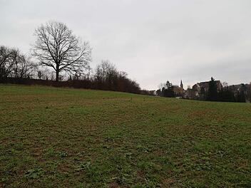 Das Baugebiet Binzig, links der FriedhofFoto Franz Galster