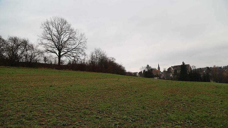 Das Baugebiet Binzig, links der FriedhofFoto Franz Galster