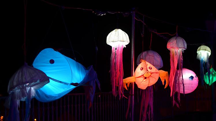 Am fünften Tag schuf Gott die Vögel  und die Fische.WF-Photographie
