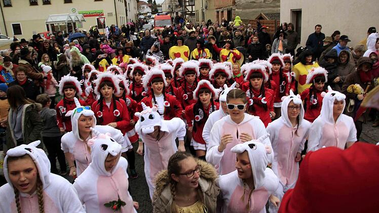 Impressionen vom Faschingsumzug der Weisendorfer Blummazupfer. Foto: Richard Sänger