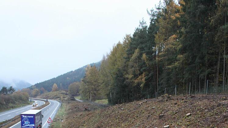 Es sind schon größere Flächen gerordet.