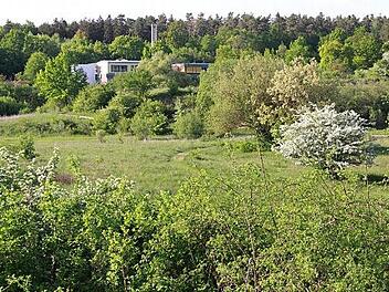 Die Alternative: Das Areal zwischen Lebenshilfe und Reuth.  Foto: Hofbauer