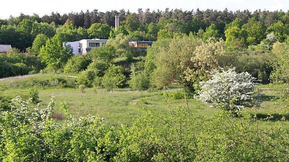 Die Alternative: Das Areal zwischen Lebenshilfe und Reuth.  Foto: Hofbauer