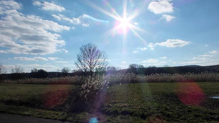 Frühling zwischen Lind und Rentweinsdorf. Foto: Kathrin Zürl