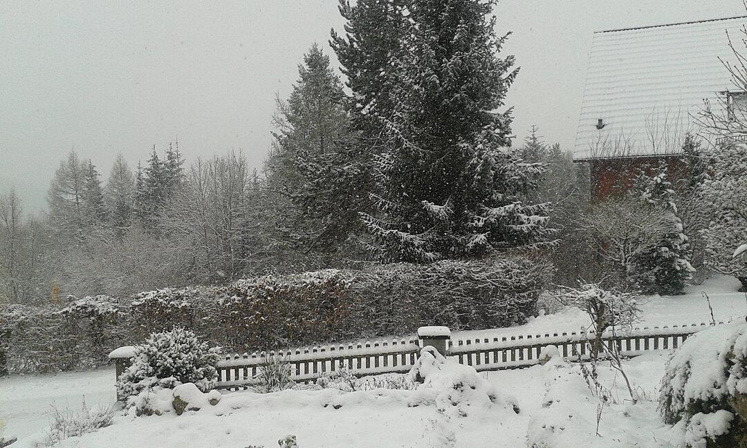 Schnee und Eis - Die schönsten Aufnahmen aus Franken