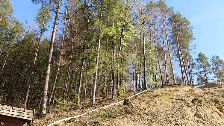 Die Feuerwehr musste am Ostermontag, 22.04.2019, vier Brände im Kreis Nürnberger Land löschen. Bei Hartenstein standen rund 5000 Quadratmeter Wald in Brand. Foto: NEWS5 / Holzheimer