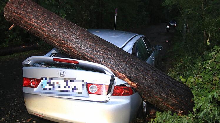 Foto: Ferdinand Merzbach