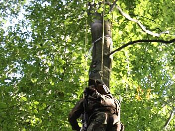 Bis auf 15 Meter kletterte er, da verlie&szlig;en ihn die Kr&auml;fte. Erst nach Stunden wurde er gerettet - da hatte seine Frau schon genervt den Park verlassen.  Symbolbild: Edgar Bartl
