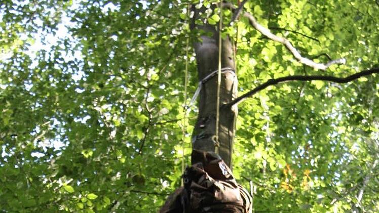 Bis auf 15 Meter kletterte er, da verlie&szlig;en ihn die Kr&auml;fte. Erst nach Stunden wurde er gerettet - da hatte seine Frau schon genervt den Park verlassen.  Symbolbild: Edgar Bartl