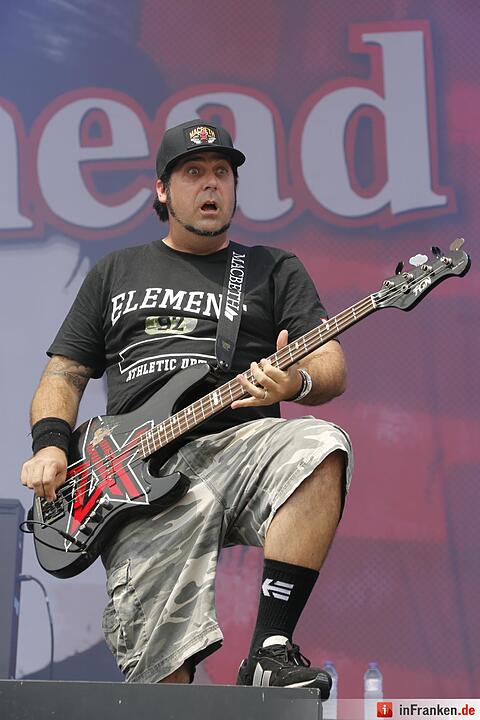 RIP15 - Zebrahead