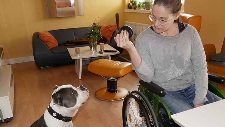 Spielen könnte Kai-Uwe den ganzen Tag. "Manchmal ist er eine echte Nervensäge", meint Frauchen Sophie. Doch abschlagen kann sie ihrem treuen Kumpel den Wunsch nie. Foto: Manja von Nida