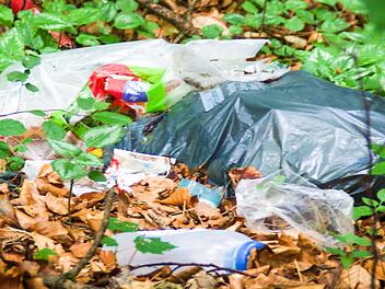 Eine wilde Müllentsorgung am Kronacher Kreuzberg. Foto: Marco Meißner
