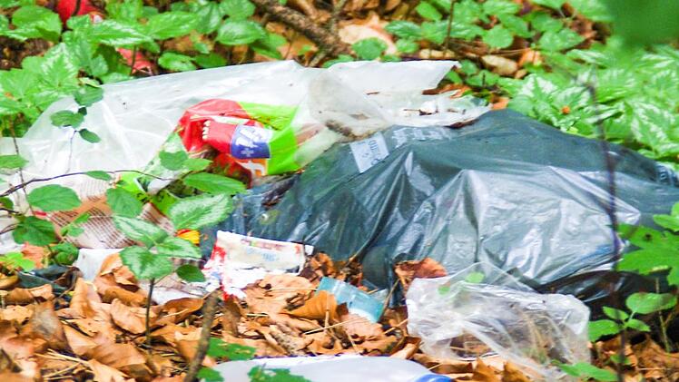 Eine wilde Müllentsorgung am Kronacher Kreuzberg. Foto: Marco Meißner
