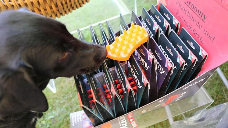 Mischlingshündin Kira beim "Shoppen" - das Angebot für Hund und Herr war doch zu verlockend.