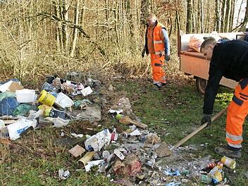 Sogar über Weihnachten gibt es Menschen, die ihren Abfall illegal am Waldrand entsorgen. Eine dreiste und große illegale Müllhalde mussten die Eltmanner Bauhofmitarbeiter jetzt entsorgen.  Foto: Sabine Weinbeer