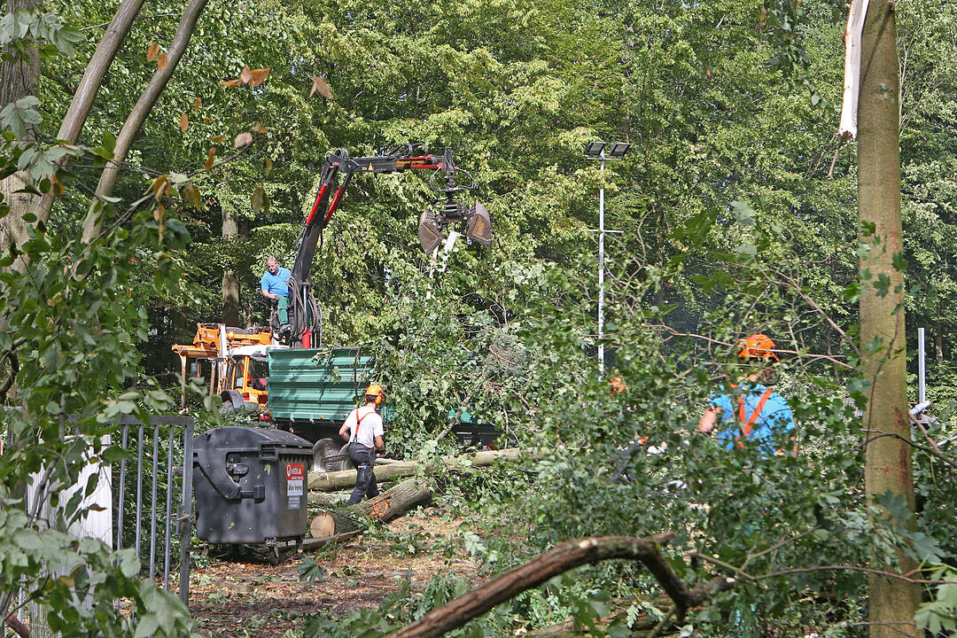 Aufraeumarbeiten in Bamberg nach schwerem Unwetter