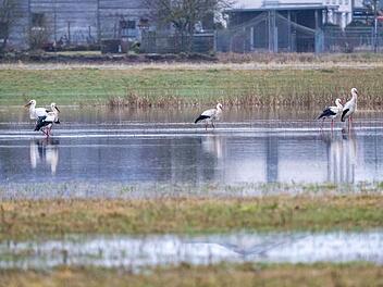 Hochwasser in Bayern