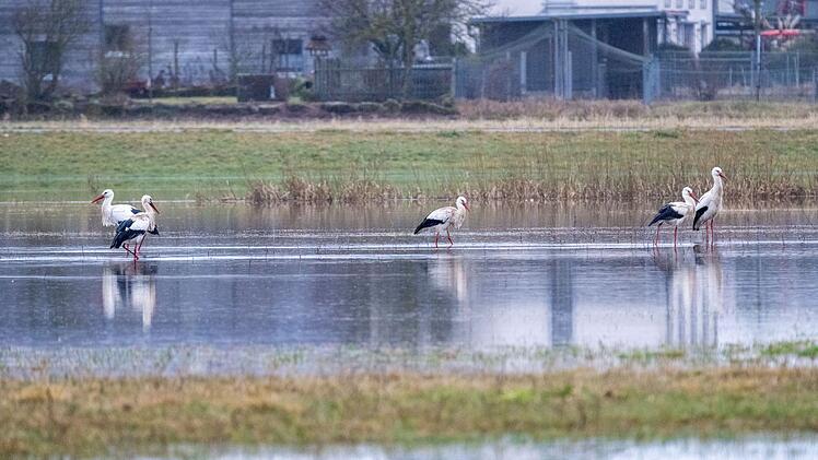 Hochwasser in Bayern