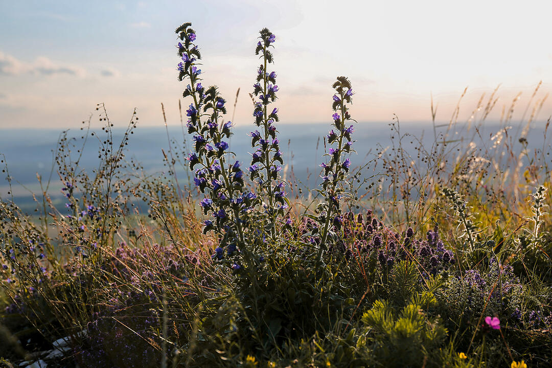 Herrliches Wandergebiet im Bamberger Umland