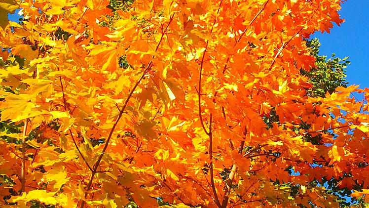 Userfoto: Petra Götz