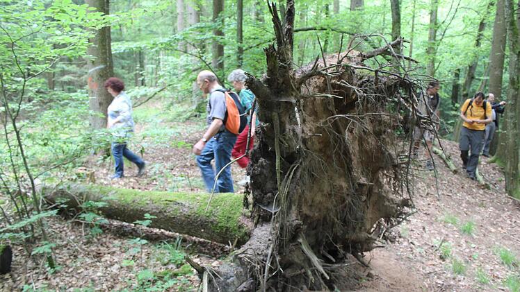 Leserwanderung im Hauptsmoorwald. Foto: Michael Memmel