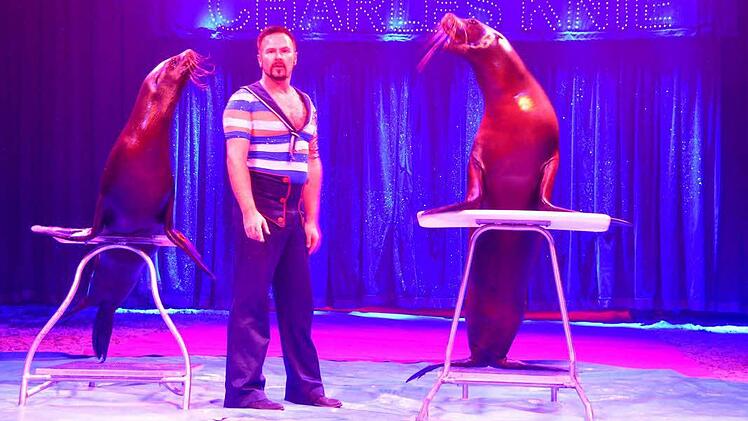 Eine Seehund-Nummer. Foto: Rauch