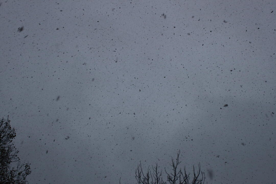 Erster Schnee in Oberfranken