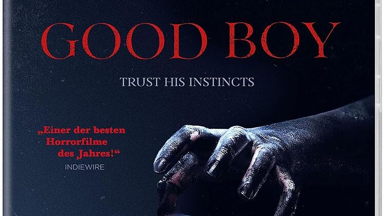 Im Zentrum des Horrorfilms "Good Boy - Trust in his instincts" steht der Hund Indy.