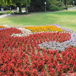 ABO Plus-Tagesbusfahrt Bayreuth_03.09.2016