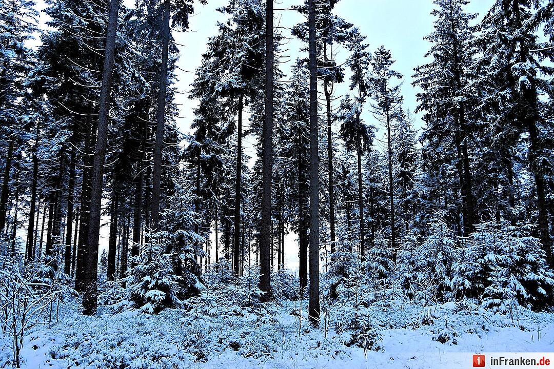 Schnee im Fichtelgebirge