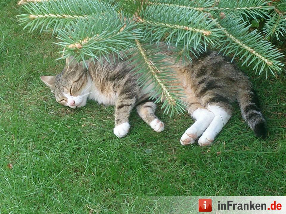 Foto: Jens-Andreas Hansen