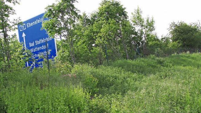 Auf einem bestehenden kleinen Wall an der Autobahn sollen Lärmschutzwände installiert werden, die etwa so hoch sein werden wie die blaue Wegweisertafel. Ob das jedoch in diesem Jahr noch geschehen kann, ist derzeit unklar. Foto: Matthias Einwag