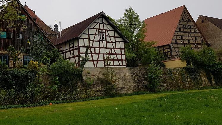 Der ehemalige Krankenhausgarten ist begehrt: Eine Mehrgenerationenpark  könnte hier entstehen, aber auch    ein Park für Schmetterlinge ist im Gespräch Foto: Ekkehard Roepert