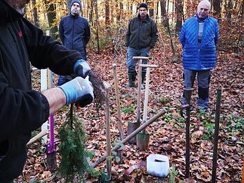 Bei einem Pflanzkurs wurden die Waldbesitzer vor der Ausgabe der Pflanzen geschult.      Foto: Mathias Erlwein